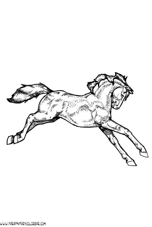 dibujos-de-caballos-174.gif