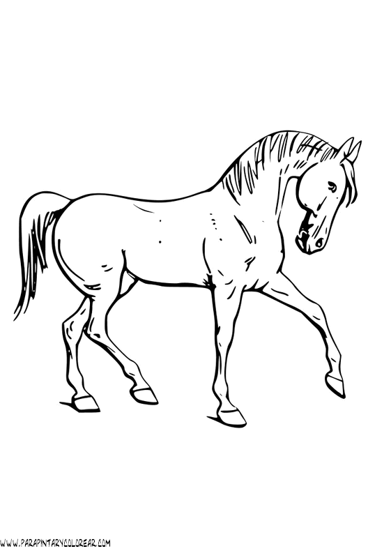 dibujos-de-caballos-176.gif