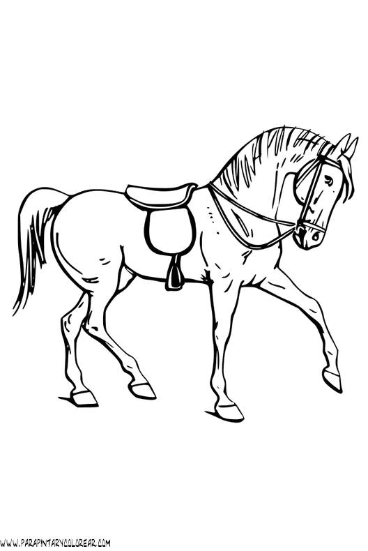 dibujos-de-caballos-177.gif