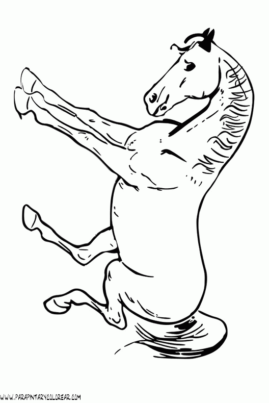 dibujos-de-caballos-178.gif