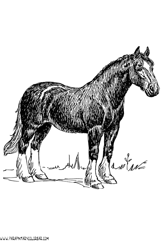 dibujos-de-caballos-179.gif