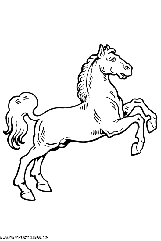 dibujos-de-caballos-181.gif