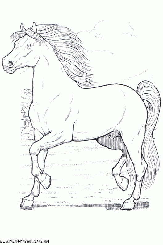 dibujos-de-caballos-199.gif