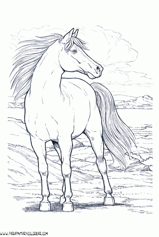 dibujos-de-caballos-217.gif