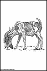 dibujos-de-caballos-134.gif