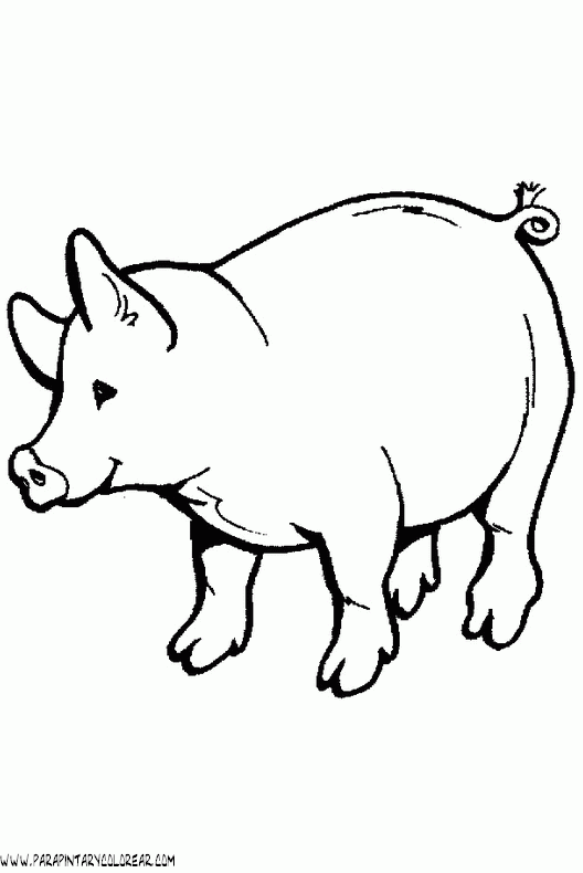 dibujos-de-cerdos-022.gif