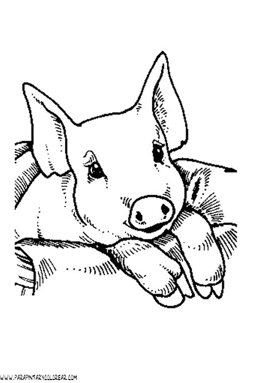 dibujos-de-cerdos-029.gif