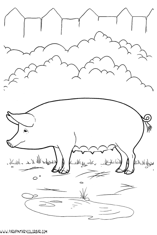 dibujos-de-cerdos-036.gif