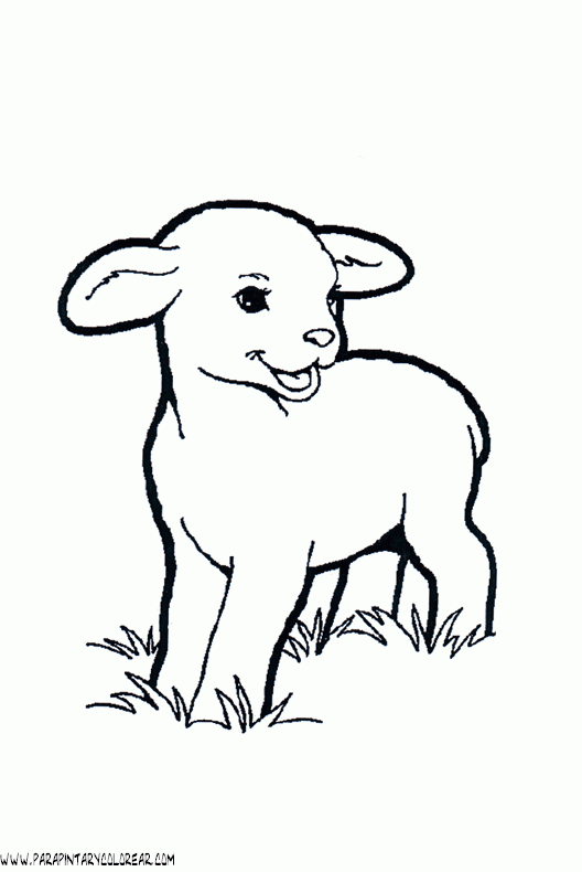 dibujos-de-ovejas-002.gif