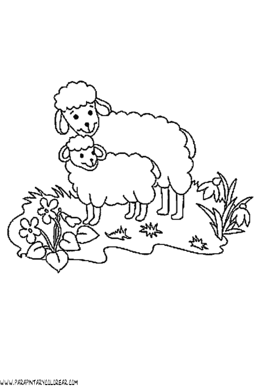 dibujos-de-ovejas-012.gif
