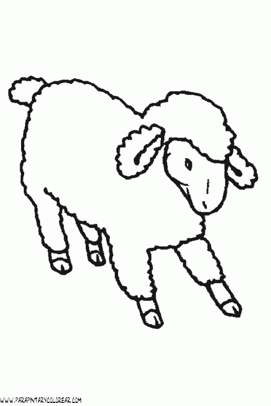 dibujos-de-ovejas-025.gif