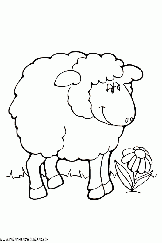 dibujos-de-ovejas-048.gif