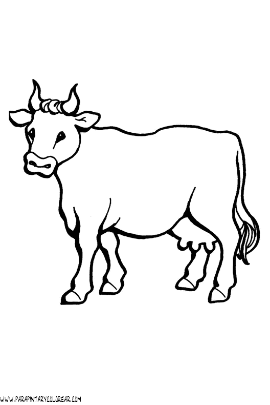 dibujos-de-vacas-001