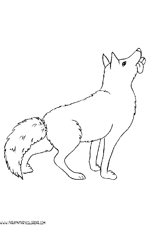 dibujos-de-lobos-003.gif