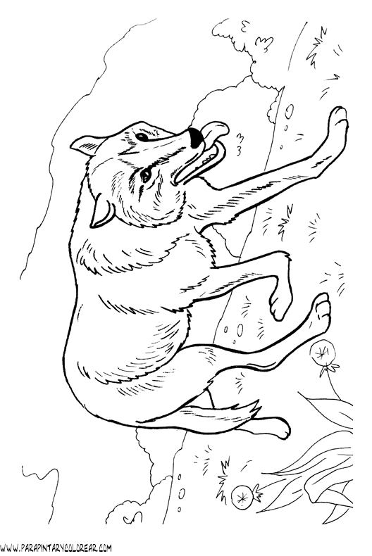 dibujos-de-lobos-007.gif