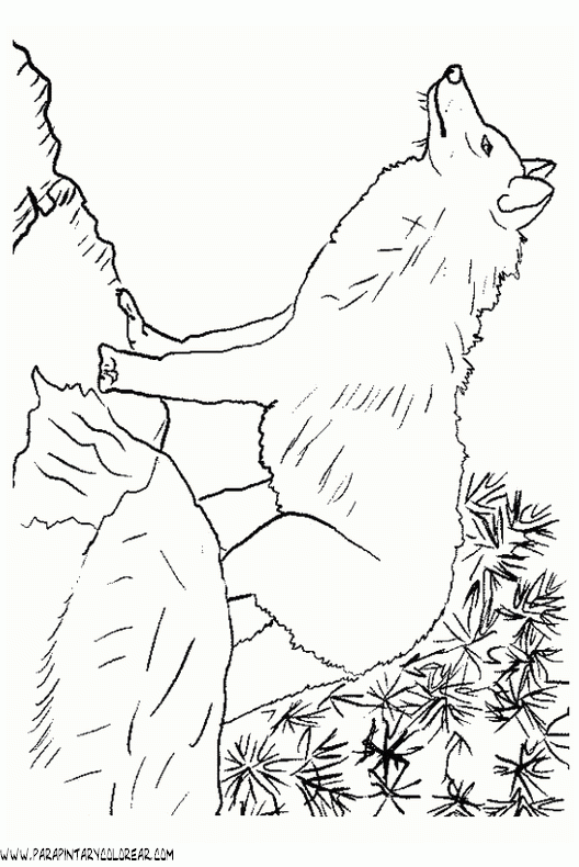 dibujos-de-lobos-009.gif