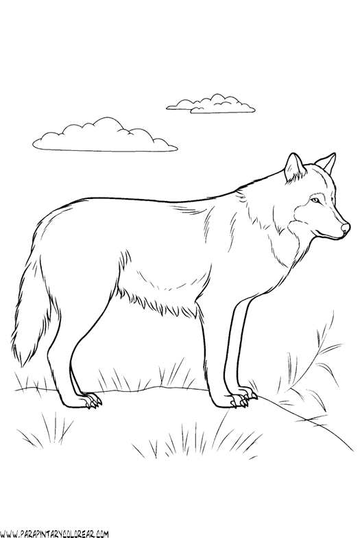 dibujos-de-lobos-011.gif