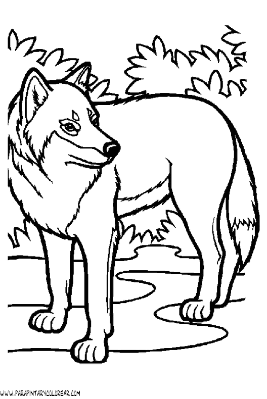 dibujos-de-lobos-021.gif