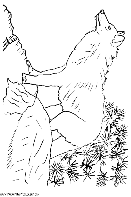 dibujos-de-lobos-032.gif