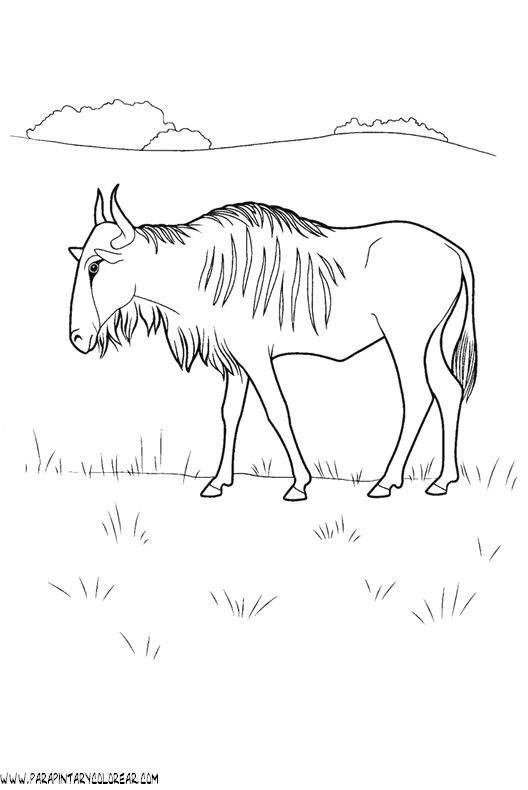 dibujo-de-nyu-002.gif