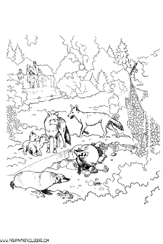 dibujos-de-zorros-034.gif