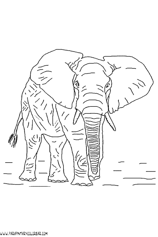 dibujos-de-elefantes-049.gif