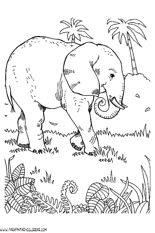dibujos-de-elefantes-071.gif