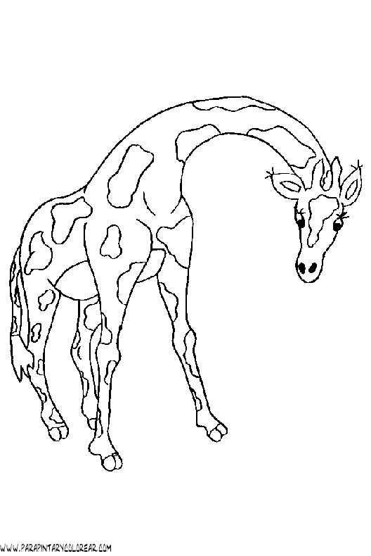 dibujos-de-girafas-33.gif