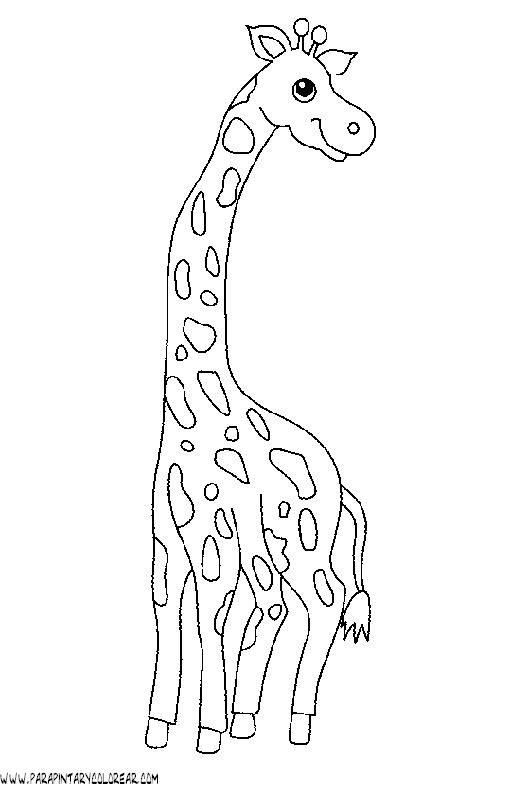 dibujos-de-girafas-37.gif