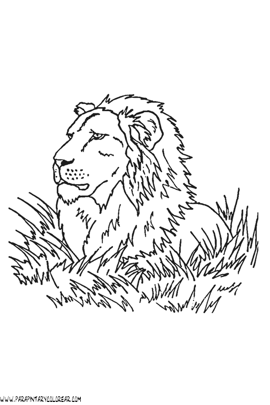 dibujos-de-leones-19.gif