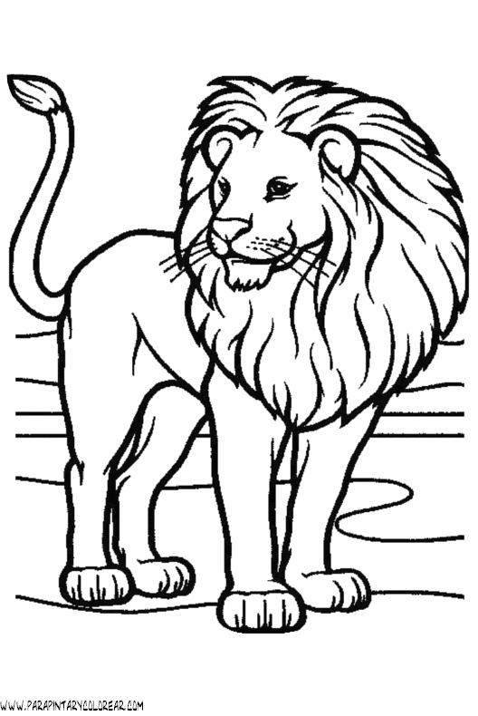 dibujos-de-leones-45.gif