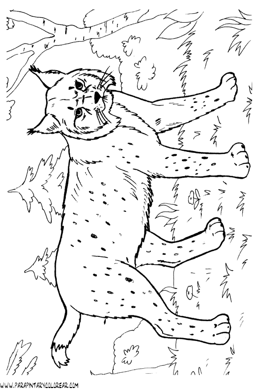 dibujos-de-leopardos-25.gif