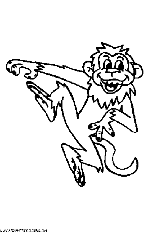 dibujos-de-monos-77.gif