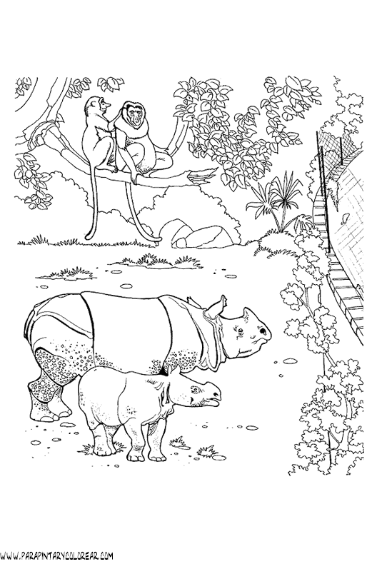 dibujos-de-rinocerontes-21.gif