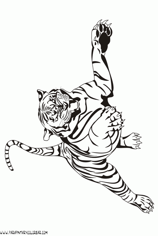 dibujos-de-tigres-017.gif
