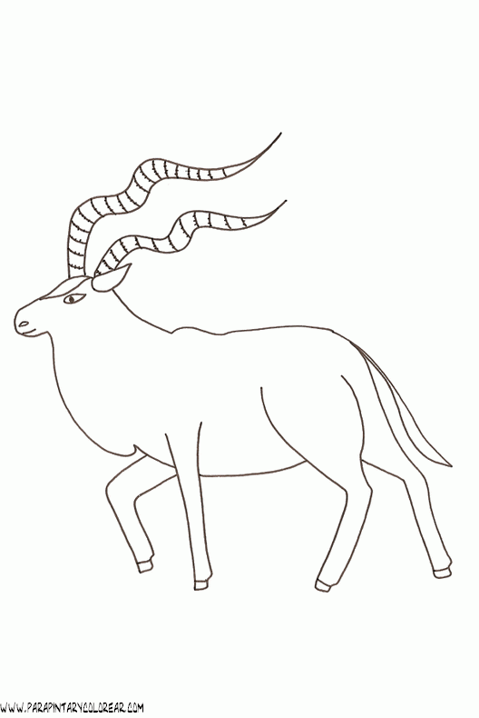 dibujos-de-antilopes-001.gif