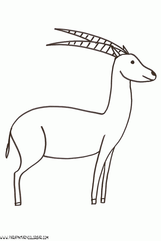 dibujos-de-antilopes-002.gif