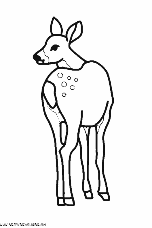 dibujos-de-ciervos-022.gif