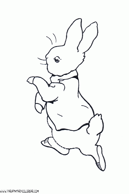 dibujos-de-conejos-008.gif
