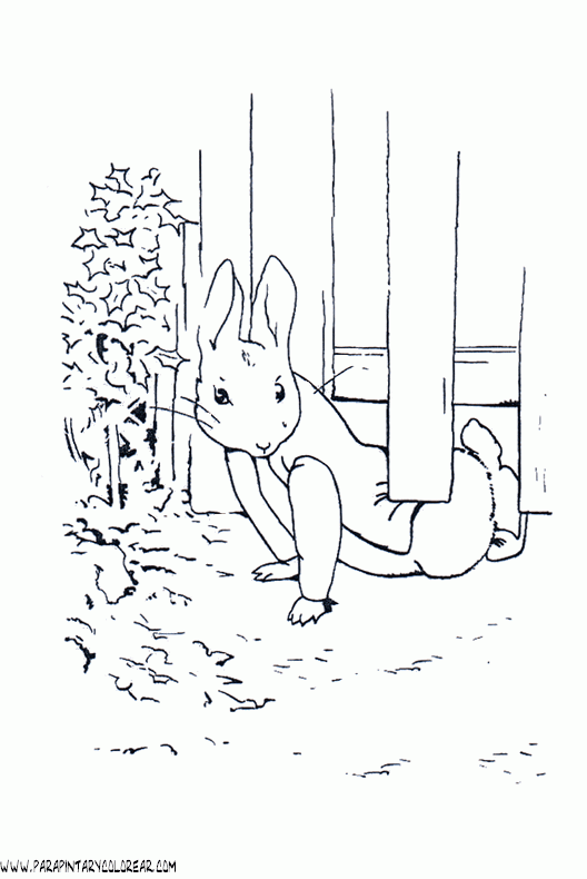 dibujos-de-conejos-009.gif