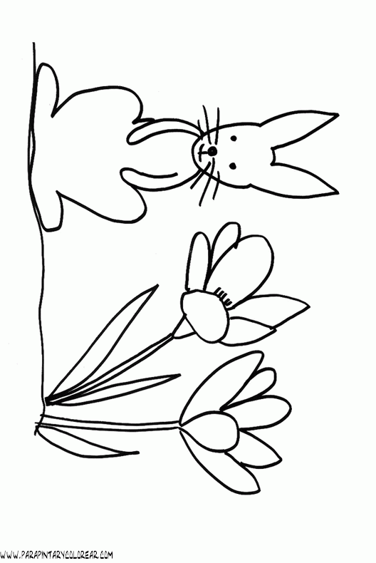 dibujos-de-conejos-013.gif