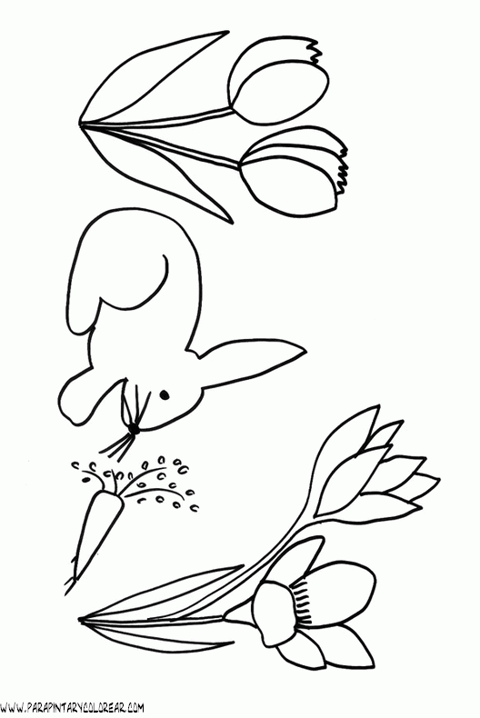 dibujos-de-conejos-015.gif