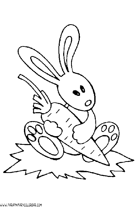 dibujos-de-conejos-022.gif