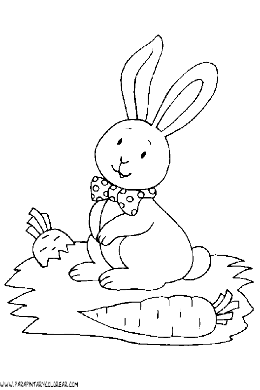 dibujos-de-conejos-023.gif