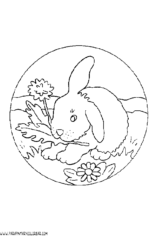 dibujos-de-conejos-024.gif