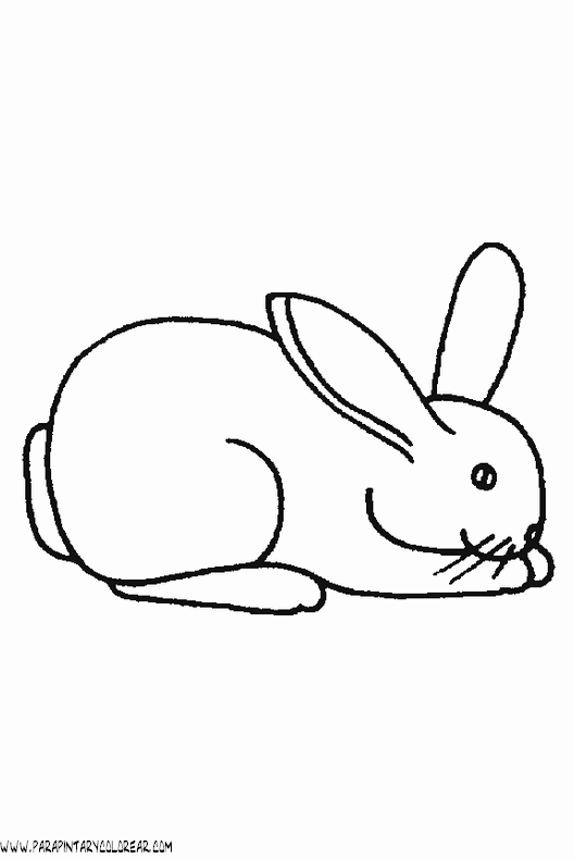 dibujos-de-conejos-028.gif