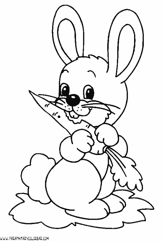 dibujos-de-conejos-031.gif