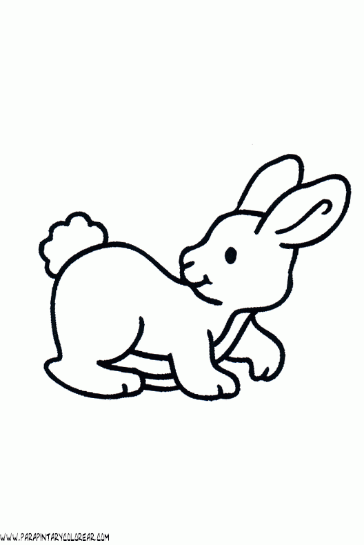 dibujos-de-conejos-062.gif