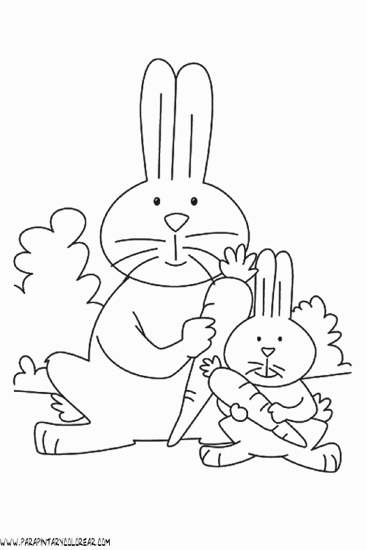dibujos-de-conejos-068.gif