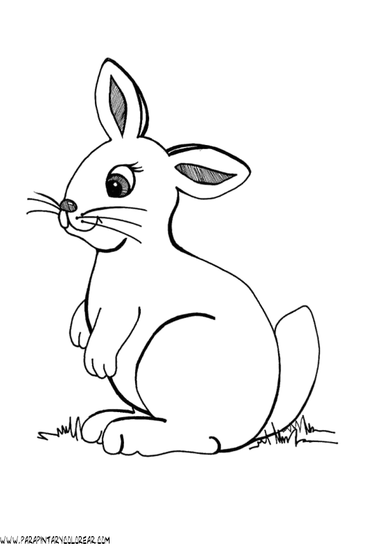 dibujos-de-conejos-074.gif.